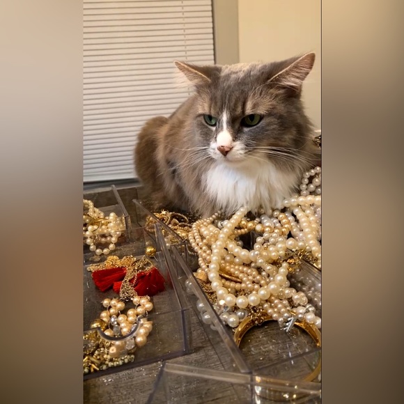 The Protecter Of Pearls - Picture 4 of 4